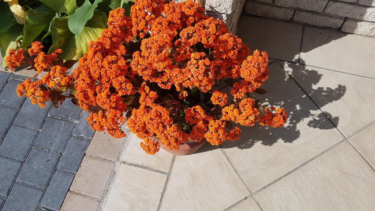 Besigheim Bed & Breakfast Stellenbosch Ngoại thất bức ảnh